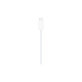 Magnetyczny kabel szybkiego ladowania do Apple Watch do USB-C (1m) A2515 - Aluminium (bulk)