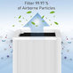 Filtr HEPA (Węgiel aktywny) do Blueair Blue Pure 211+