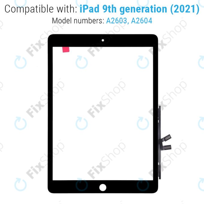 Ekran dotykowy dla iPad (9th Gen 2021), Black