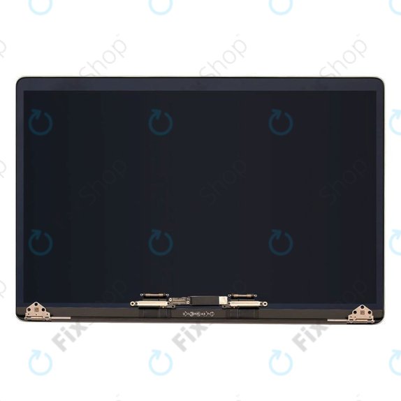 Wyświetlacz z przednim szkłem i obudową do MacBook Pro 15" A1990 (2018 - 2019), Srebrny, Silver, Refurbished