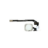 Przycisk Home z taśmą flex do iPhone 5S, SE, Srebrny, Silver