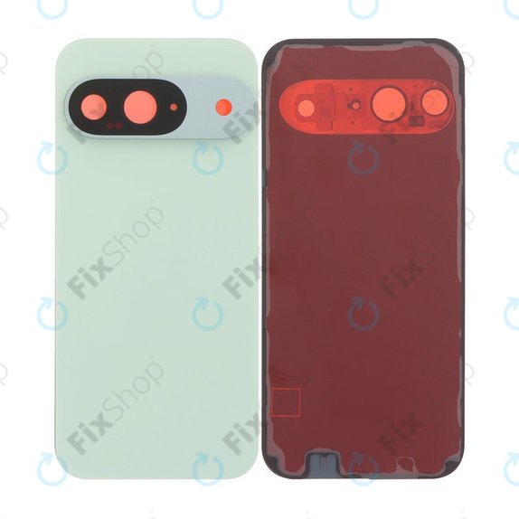 Tylna pokrywa baterii z kompletnym montażem do Google Pixel 9, Wintergreen